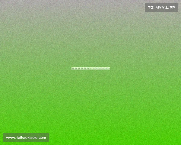 网球比赛现场观众热情洋溢 共同见证激烈对决与精彩时刻